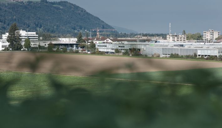 Newsletter 4/2025: Die Region – Motor für Entwicklung