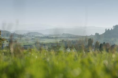 RGSK 2021 im Zeitplan