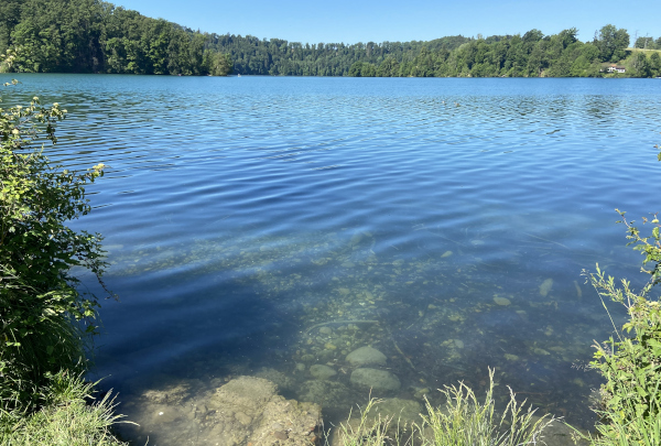 Am Wohlensee