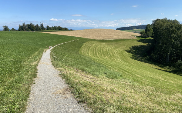 Wanderung auf dem Gurten