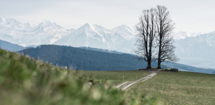 Ballenbühl bei Konolfingen