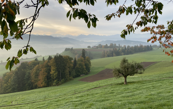 Wandern mit Weitsicht