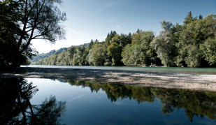 Aare