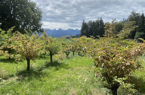 Vielseitiges Landschaftserlebnis