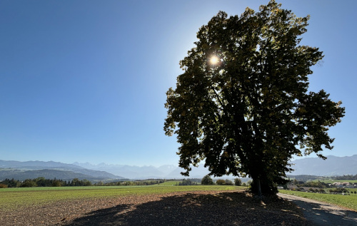 Der Aussichtspunkt «Lindli» bei Kirchdorf