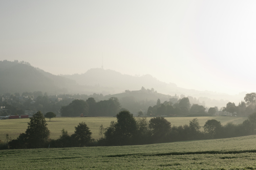 Morgenstimmung im Worblental