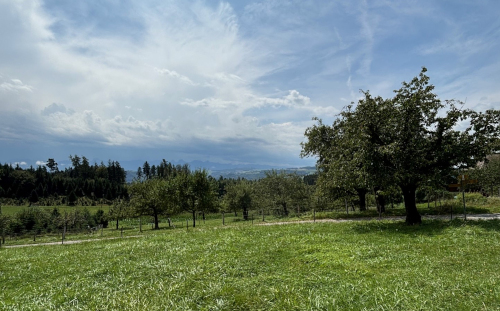Die idyllische Kultur- und Naturlandschaft des Dentenbergs