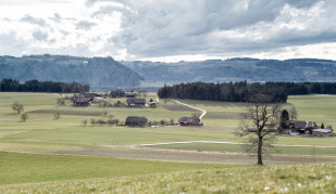 Blick vom Horn bei Trimstein