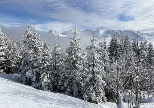 Winter im Gantrischgebiet
