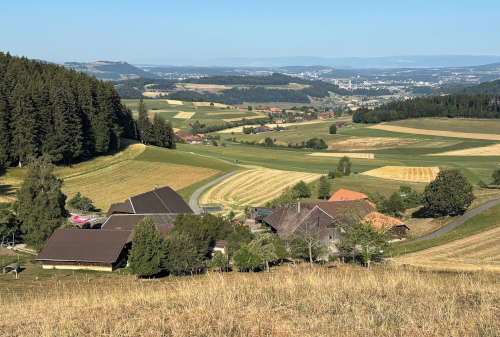 Mänziwilegg: freie Sicht aufs Mittelland