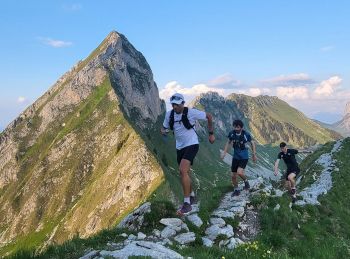 Trailrunning Gantrisch (2025)